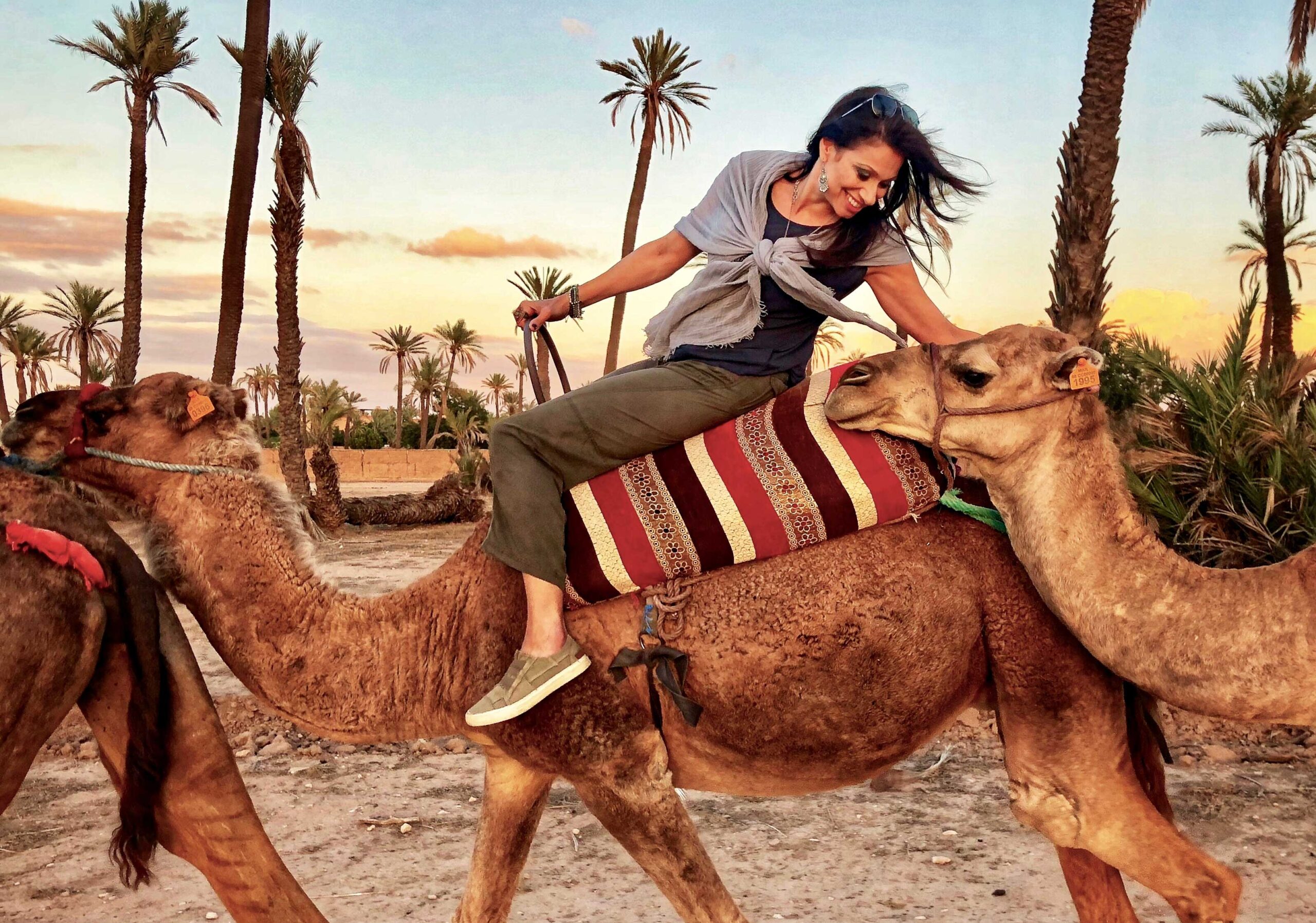 Camel-ride-Marrakech-Photo-2560×1795
